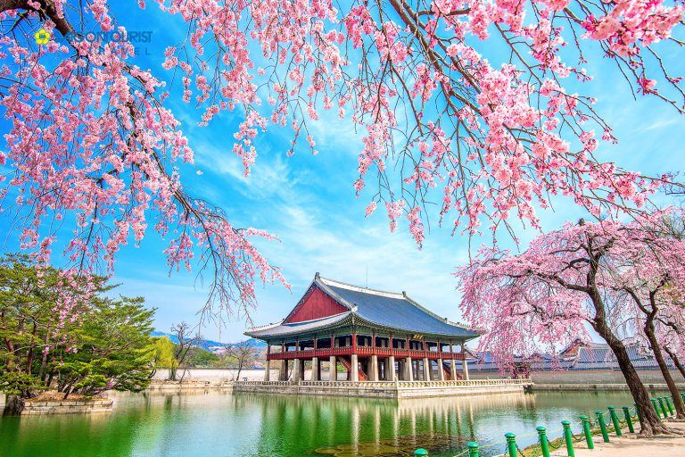 HÀN QUỐC – SEOUL – ĐẢO NAMI – EVERLAND – CÔNG VIÊN YEOUIDO